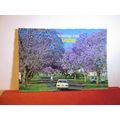 MARY STREET, GRAFTON, N.S.W. AUSTRALIA used pos...