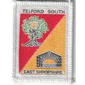 Scout Badge UK- Telford East Shropshire - Ribbo...