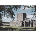 Portchester Castle Hampshire Postcard unused cr...