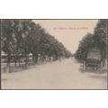 Avenida de la Rábida, Huelva, c.1910 - Papeteri...