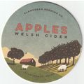 BEER MAT - GLAMORGAN BREWING CO - APPLES WELSH ...