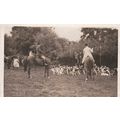 ED56 STAG HUNTING -HORSE AND HOUNDS . UNIDENTIFIED