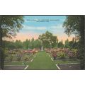 Rose Garden, William Land Park, Sacramento, Cal...