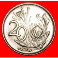 PROTEA FLOWER: SOUTH AFRICA ★ 20 CENTS 1986! LO...