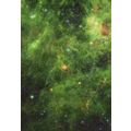 Supernova Blast Wave Cassiopeia Neutron Star Ra...