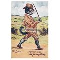 rp14451 - Louis Wain Cat - A Perfect Cure - pri...