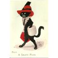 Art A SAUCY PUSS Anthropomorphic Postcard (Mayf...