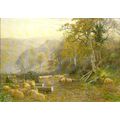Art CHARLES J. ADAMS The Sheepfold Postcard (Me...