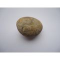 Unique Natural Gratitude Stone/Rock Law of Attr...