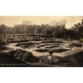 Denton Gardens, Worthing, Sussex, 5000 Salmon S...