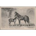Maude Scrivener - Mare & Foal, c.1905 - Hildesh...