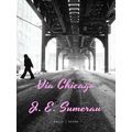 Social Fictions Series Via Chicago
