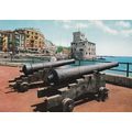 Rapallo Il Castello Italy Postcard unused VGC