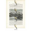 Coimbra, Portugal, Book Illustration (Print), 1880