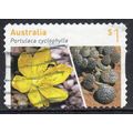 Australia 2017 Australian Succulents - Portulac...