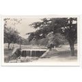 Bradgate Park near Newtown Linford Leicestershi...