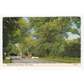 Fairy Bridge Ballalona Isle of Man Postcard 296