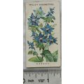 1910 Wills Old English Garden Flowers No. 17 Bo...
