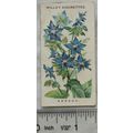 1910 Wills Old English Garden Flowers No. 17 Bo...