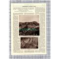 The Great Bull Of Romito Italy - 1961 Article