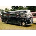 Colour Photograph of Maidstone & District Motor...