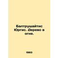 Baltruzhaitis Yurgis. A tree is on fire. In Rus...