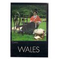WELSH SPINNER IN NATIONAL COSTUME. WALES unused...