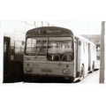 Black & White Photo of Newport Corporation Tran...