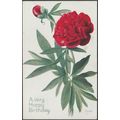A Very Happy Birthday - Peony, 1916 - Salmon Po...