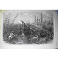 African American] Bear Hunt in a Southern Cane-...
