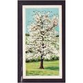 Brooke Bond Tea Card, Trees in Britain, no.21 W...