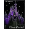 Walt Disney World Orlando Part 10 - A Wonder Wi...