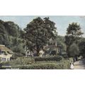 Selworthy near Porlock Somerset Postcard posted...