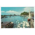 Oulton Broad Postcard Suffolk 314