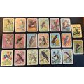 20 Vintage Tuckfields Australian Bird Cards - S...