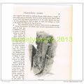 WALL GECKO, BOOK ILLUSTRATION (PRINT), LYDEKKER...
