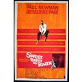 SWEET BIRD OF YOUTH 1962 Paul Newman, Geraldine...