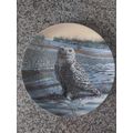 'The Snowy Owl' from the Stately Owls Collectio...