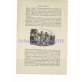 Battle Abbey (Harold's Coronation on back), Sus...