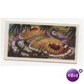 1961 Brooke Bond Tea card TROPICAL BIRDS No.31 ...
