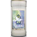 Holy Spirit Prayer Candle with Dove Detail 14 C...