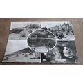 AHS Real photo Postcard - Folkestone scenes - K...