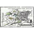 CZECHOSLOVAKIA, AMPHIBIAN, Green frog, Rana esc...