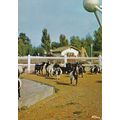 Meli Park Brussels Belgium Postcard unused VGC