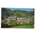 SYMONDS YAT, HEREFORDSHIRE used vintage postcar...