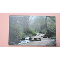 Early Postcard - Spring Valley Trentham, Stoke ...