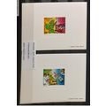 Rwanda 1979 COB LX917 - 918 Feuillet Epreuve de...