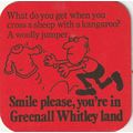 BEER MAT - GREENALL WHITLEY BREWERY - SMILE PLE...