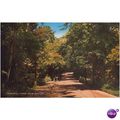 GB Postcard - Fernhill Lane, New Milton, Hampshire