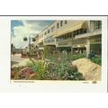 Devon PLYMOUTH New George Street Postcard by De...